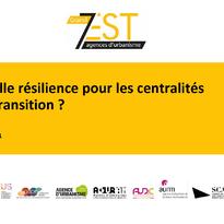 [Publication 7Est] Quelle résilience pour les centralités en transition ?