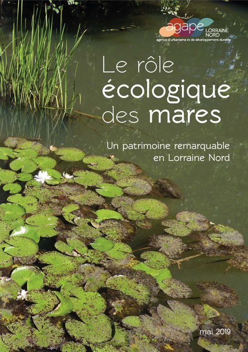 Publication d'un poster sur le rôle écologique des mares