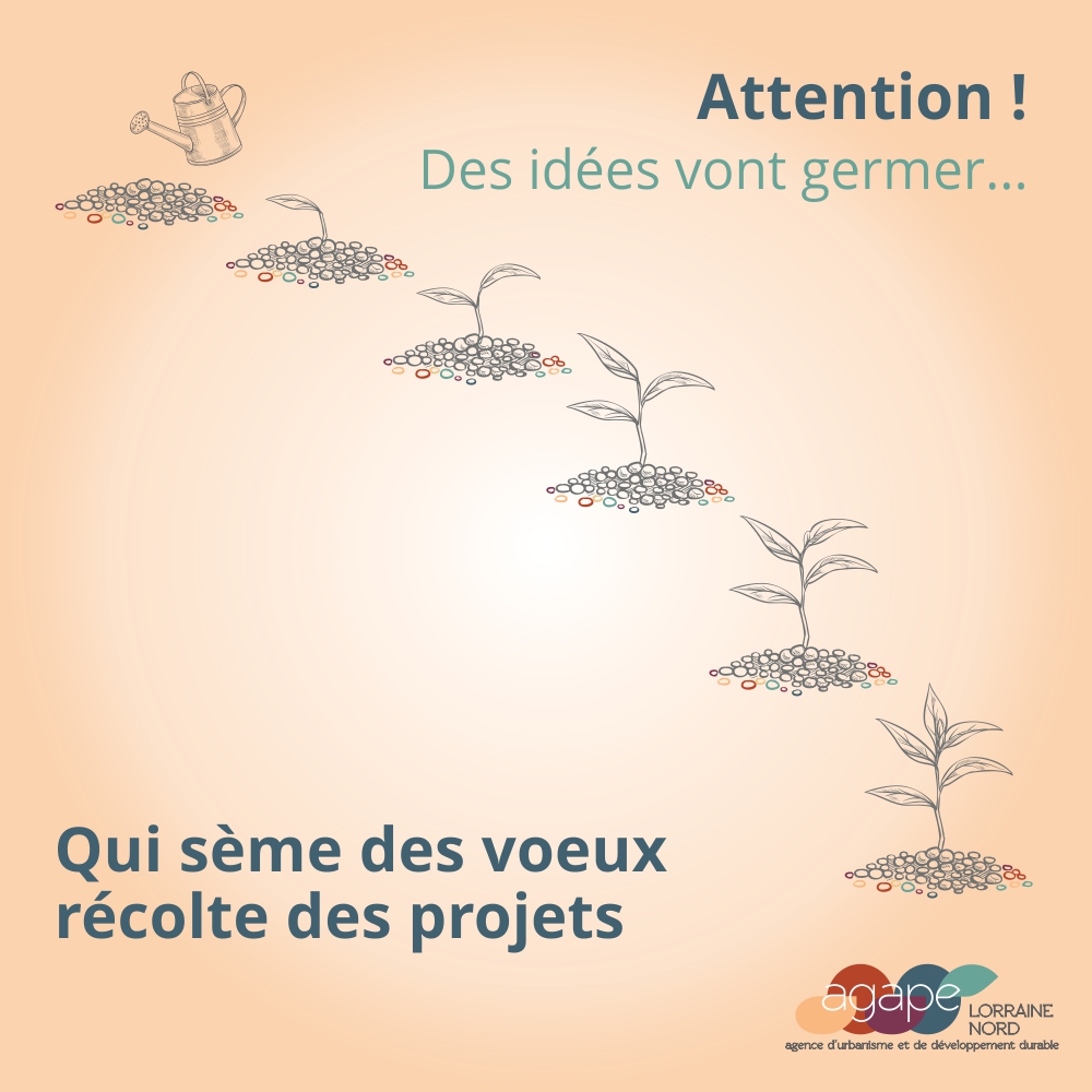 Meilleurs voeux pour 2019