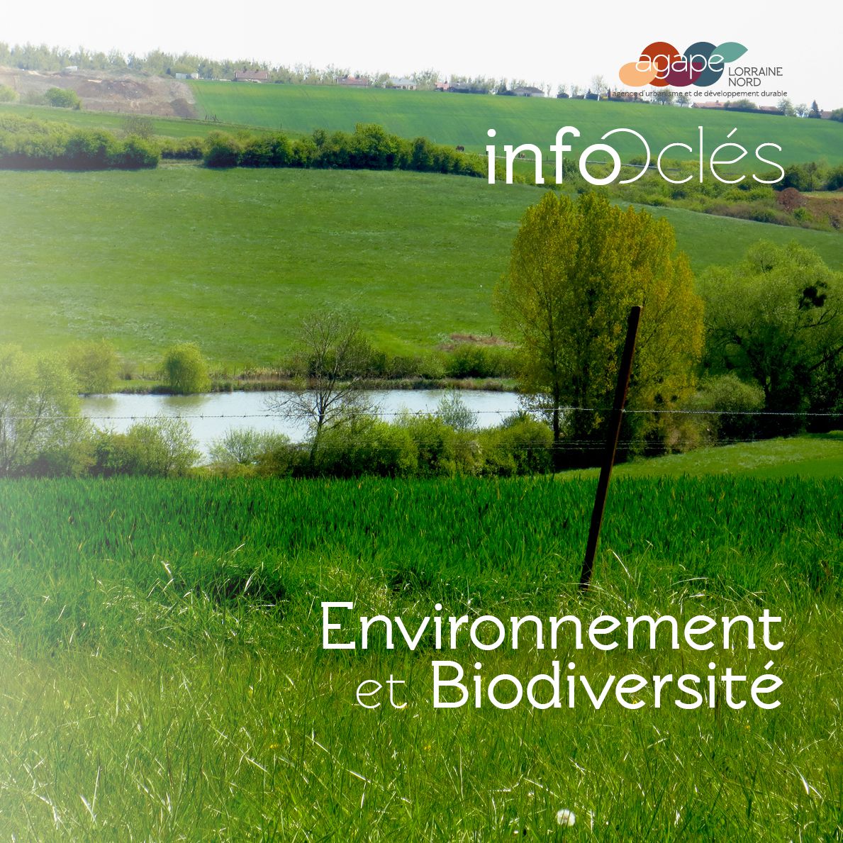 [Publication] L'environnement et la biodiversité pour "inaugurer" les InfOclés