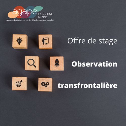 [Offre de stage] Observation transfrontalière "Plafond de verre"