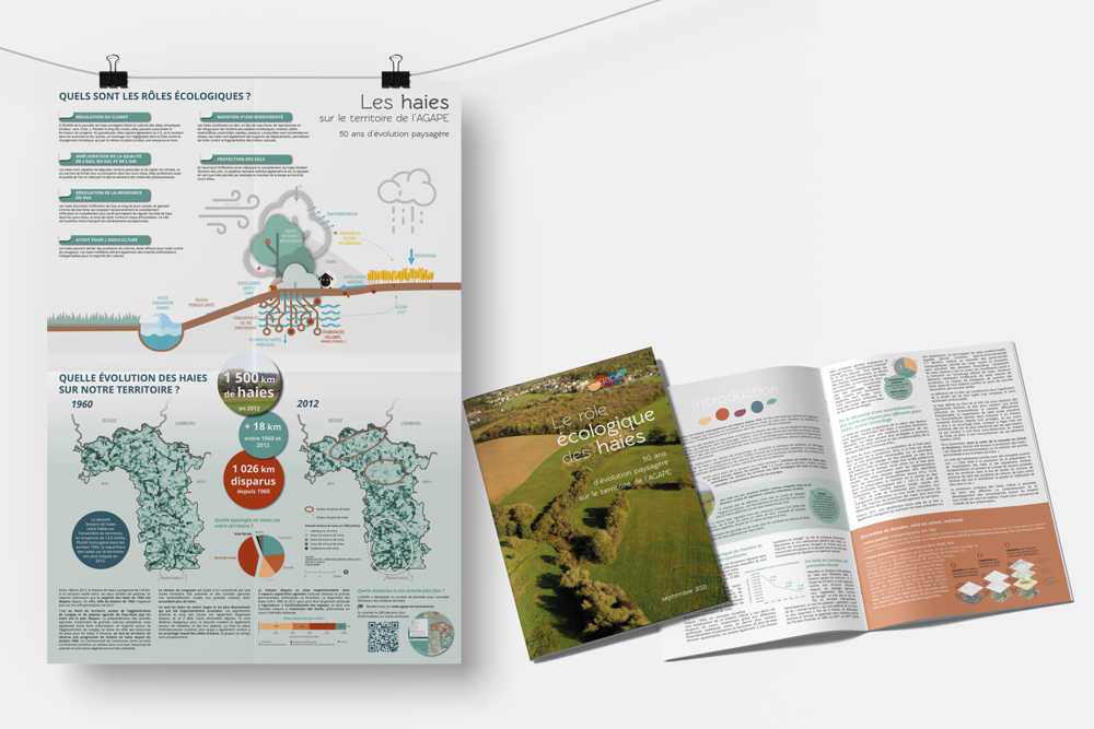 [Publication #environnement] Le rôle écologique des haies