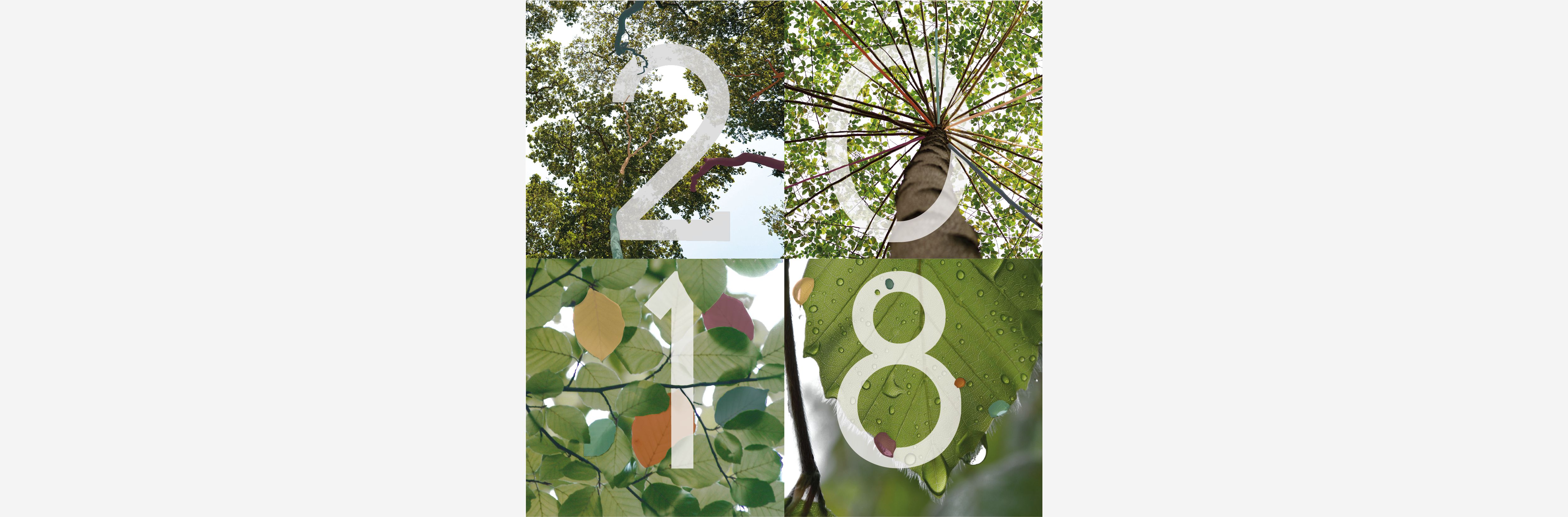 2018, l'année de nos 25 ans