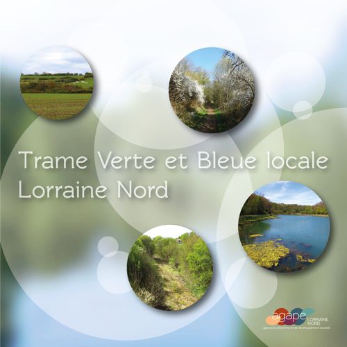 Publications de la Trame Verte et Bleue locale